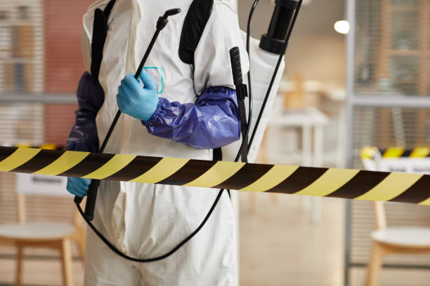 Professional Biohazard technician working in Kendleton, TX